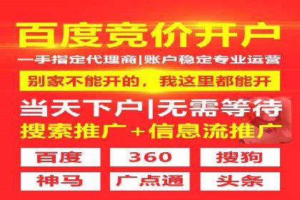 案例分析：SEM竞价代运营策略优化